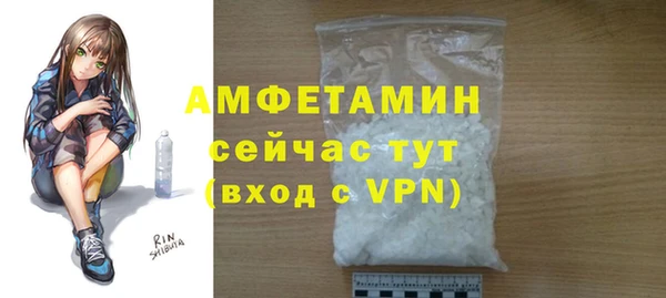 СК Пересвет