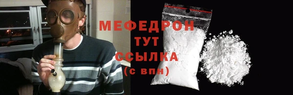 СК Пересвет