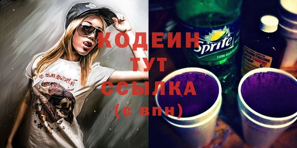 СК Пересвет