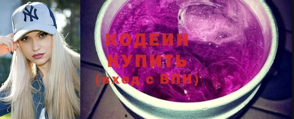 СК Пересвет
